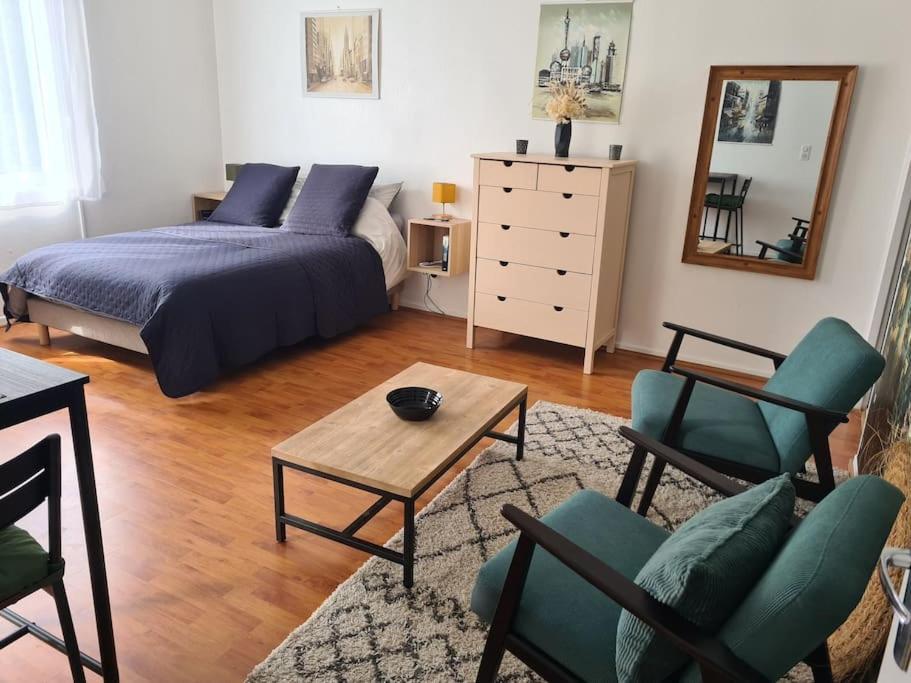 Studio Avec Terrasse Et Place De Parking Toulouse Exteriér fotografie